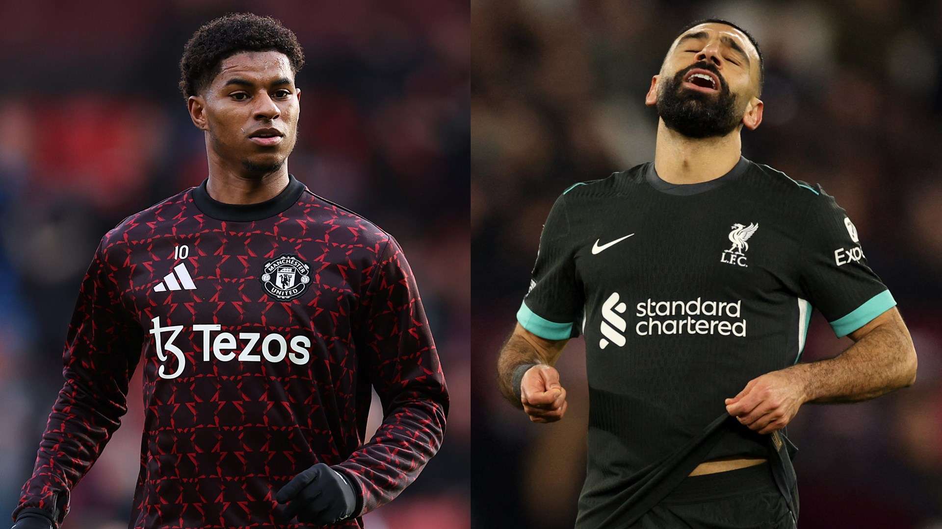 但从中可以 但从中可以