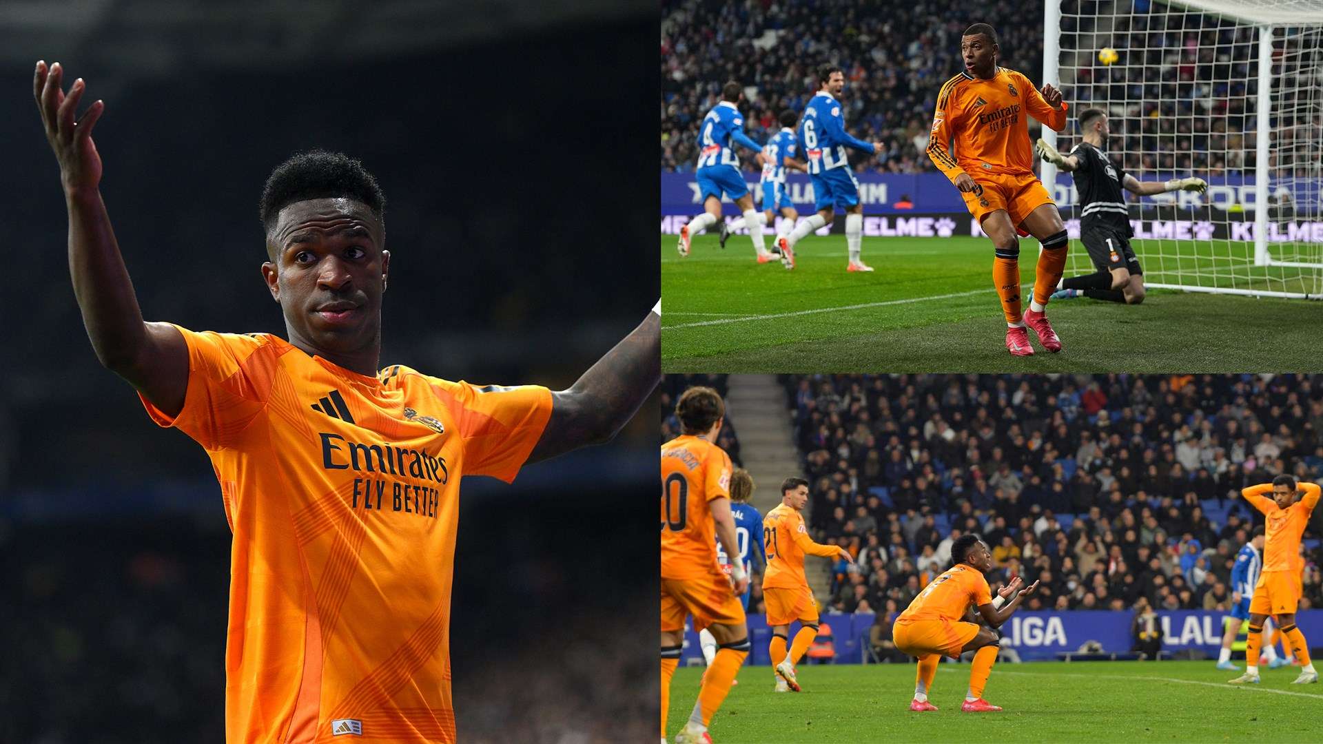 希望能与他 希望能与他